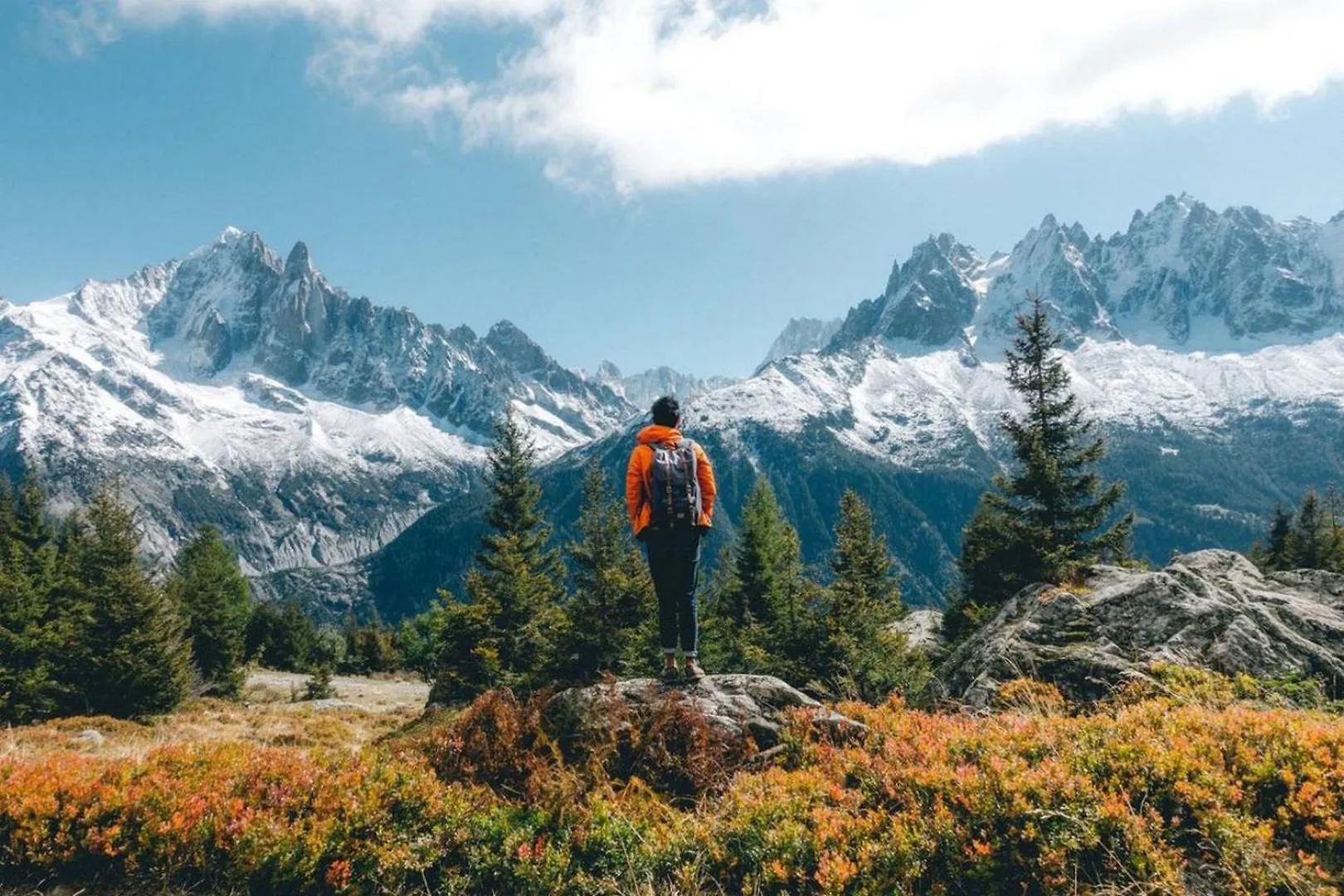 Villa Loppe Chamonix